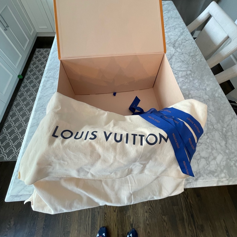 Louis Vuitton Black Maida Hobo - Picture 9 of 17